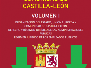 COMUNIDAD DE CASTILLA Y LEÓN