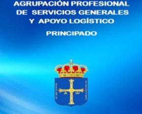 AGRUPACIÓN PROFESIONAL DE SERVICIOS GENERALES Y APOYO LOGÍSTICO DEL PRINCIPADO